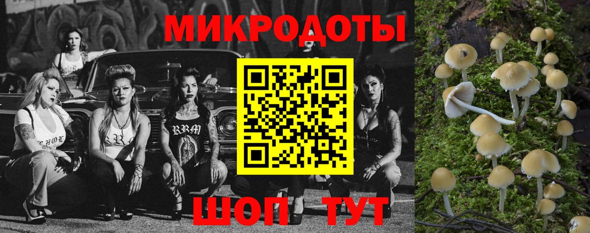 купить наркотик  Псилоцибиновые грибы мицелий  Вход с VPN  Псилоцибиновые грибы мицелий  Заринск 
