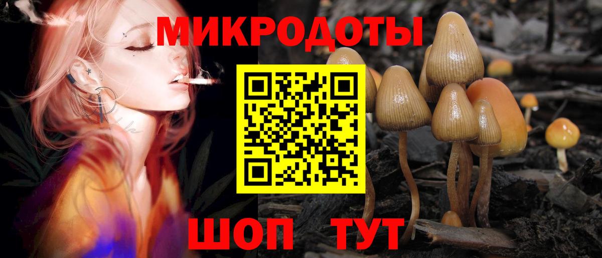 Галлюциногенные грибы мицелий Заринск